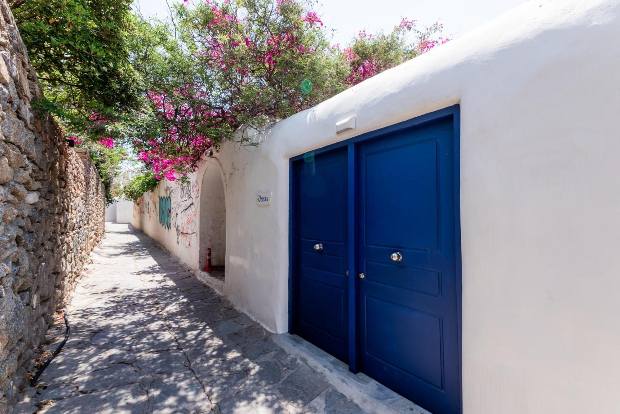 Olive Tree & Capari Mykonos Town Homes & Apartments With Pool! Dış mekan fotoğraf